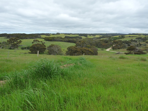 Kangaroo Island